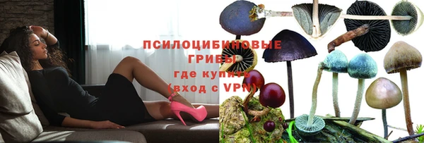 мдпв Касимов