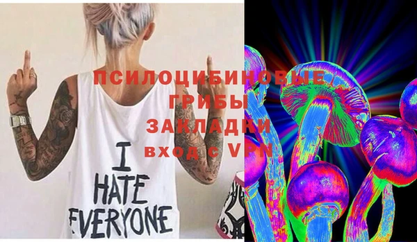 мдпв Касимов