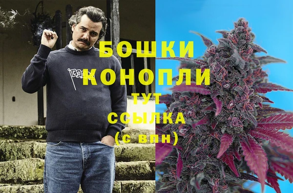 мдпв Касимов
