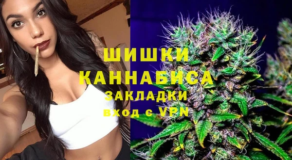 мдпв Касимов