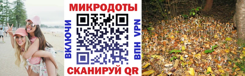 Купить закладки Ейск Псилоцибиновые грибы MAGIC MUSHROOMS